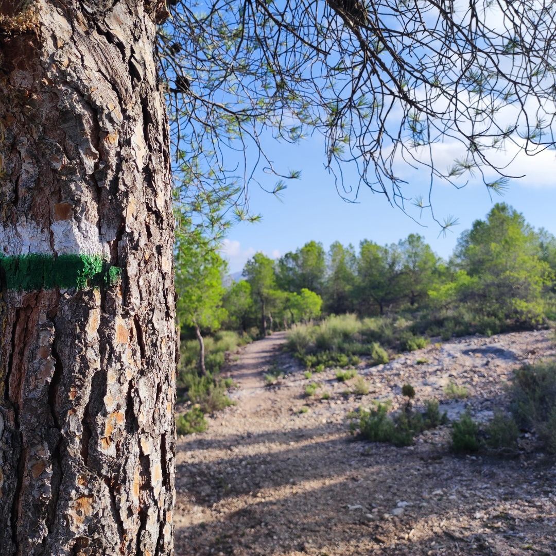 El sendero Ruta de Sant Bertomeu (SL-CV 188) obtiene la homologación oficial